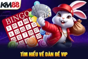 Tìm hiểu về dan fđề Vip