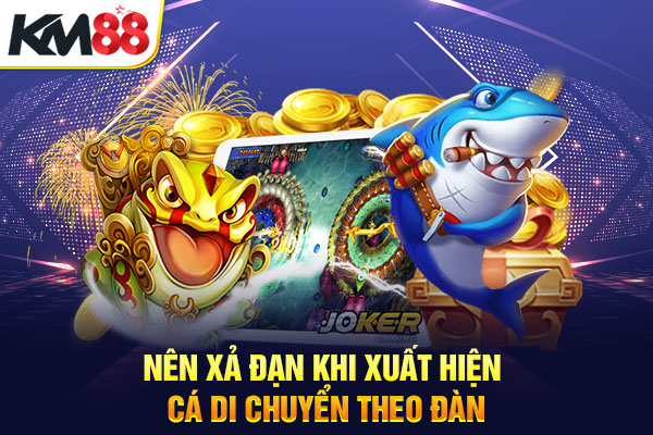 Nên xả đạn khi xuất hiện cá di chuyển theo đàn